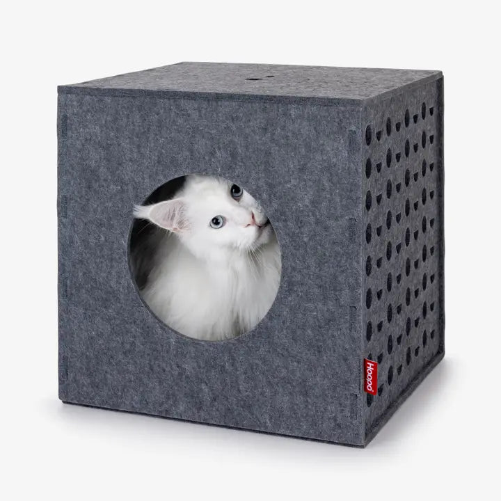 Cube