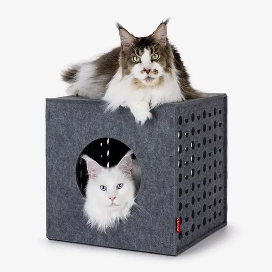 Cube