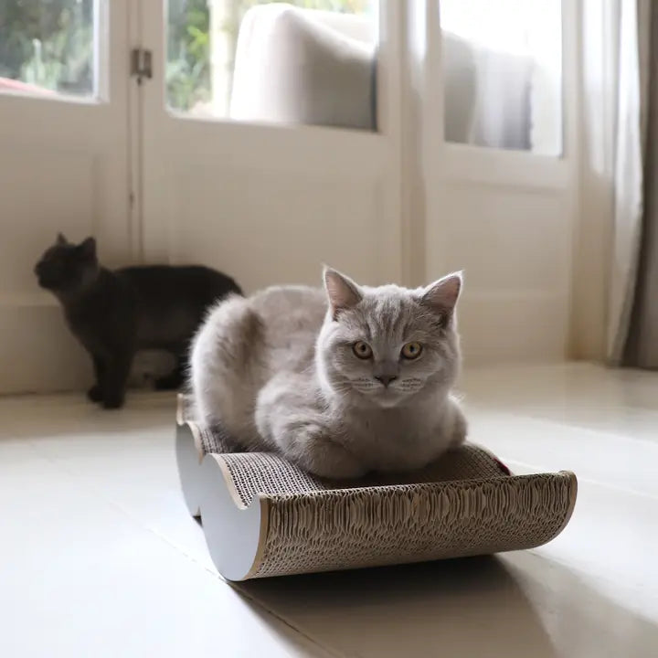 Moustache Scratching Furniture