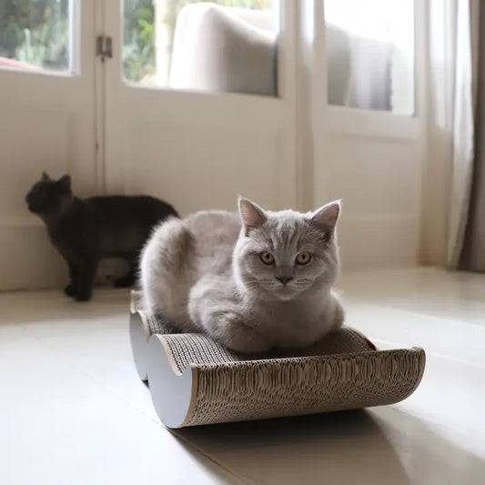 Moustache Scratching Furniture