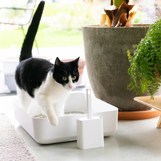 Poh Cat Litter Box