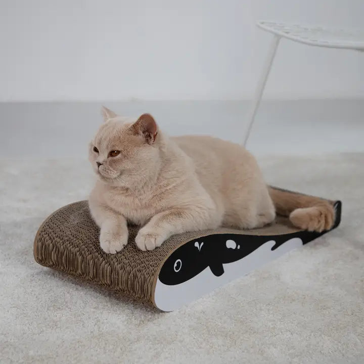 Wally Scratching Furniture