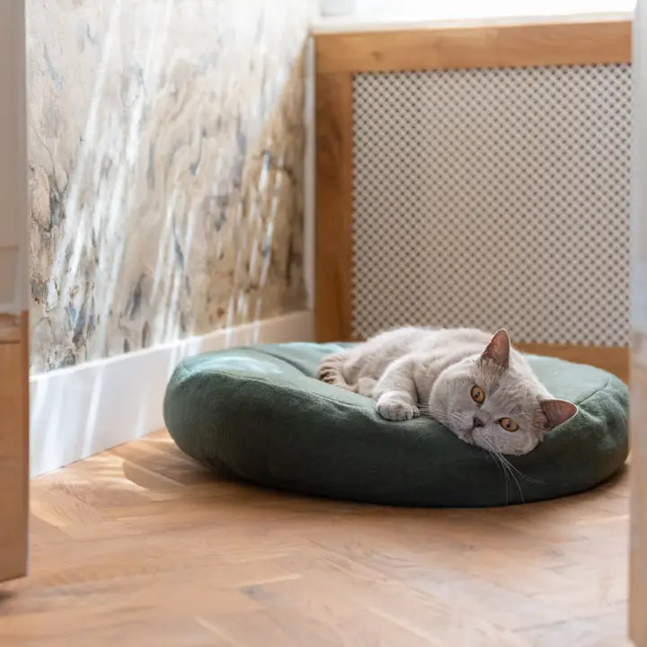 Donut Cat Bed