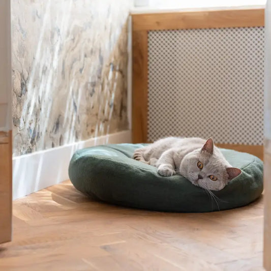 Donut Cat Bed