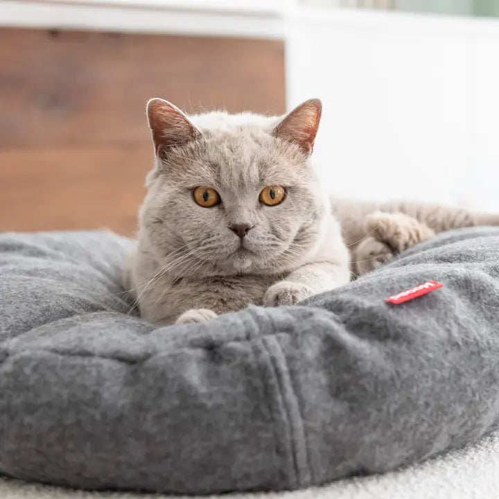 Donut Cat Bed