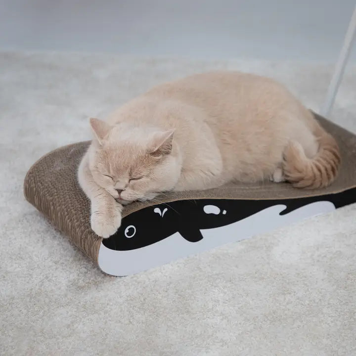Wally Scratching Furniture