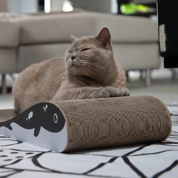 Wally Scratching Furniture