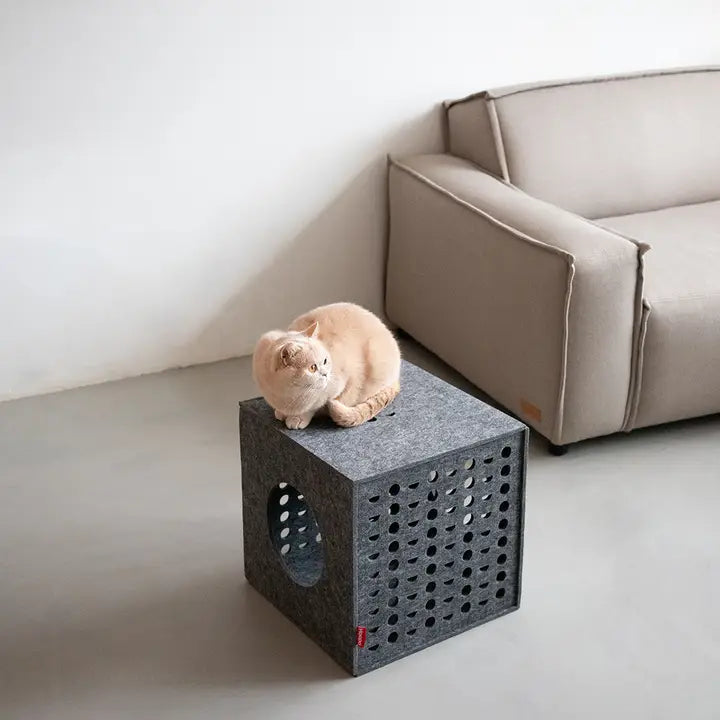 Cube