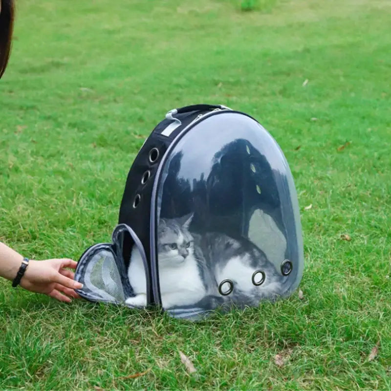 1pc Panoramic Transparent Cat Carrier Bag