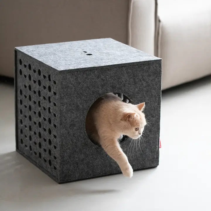 Cube